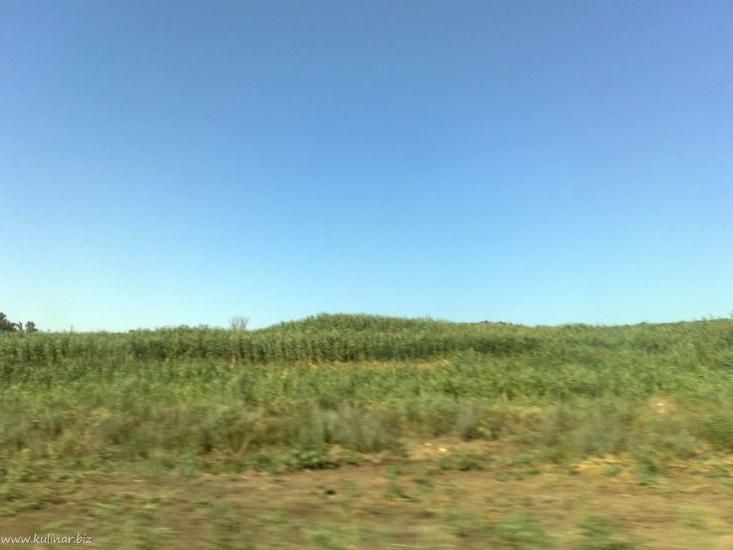 Балабине з panoramio.com - Балабине