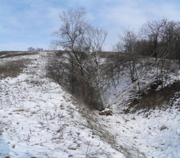 Зайцеве з panoramio.com - Зайцеве