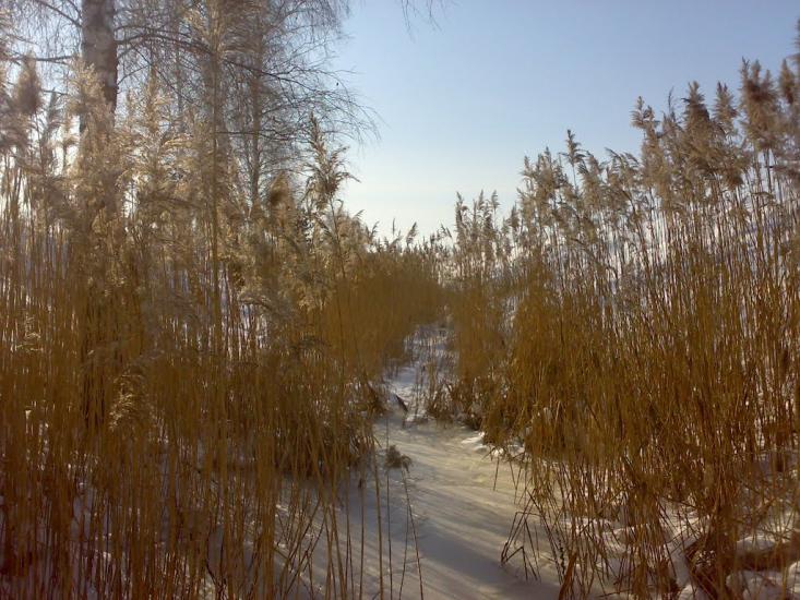 Камінь-Каширський з panoramio.com - Камінь-Каширський