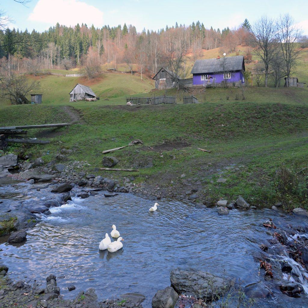 Кваси з panoramio.com - Квасы