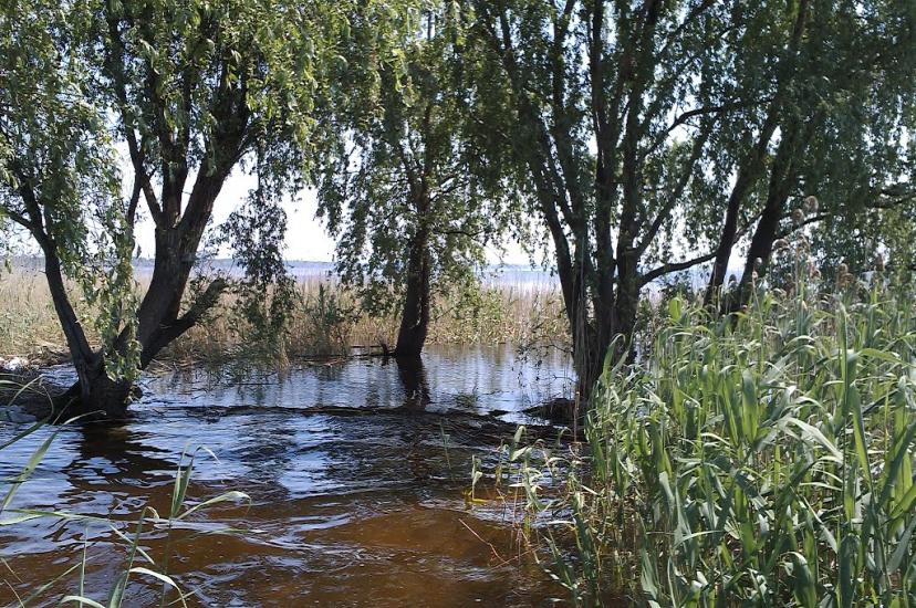 Чехівка з panoramio.com - Чехівка