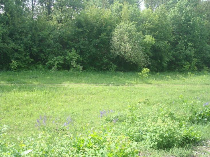 Нестерівці з panoramio.com - Нестеровцы