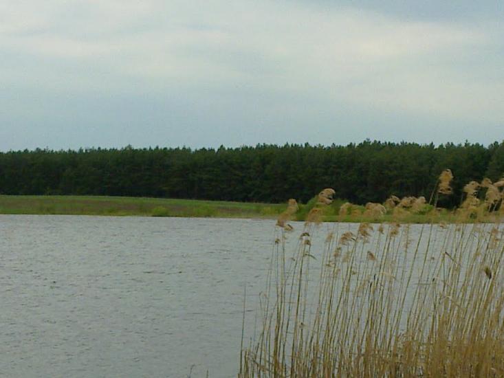Линея з panoramio.com - Линея