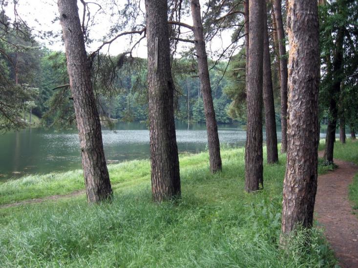 Тростянець з panoramio.com - Тростянец