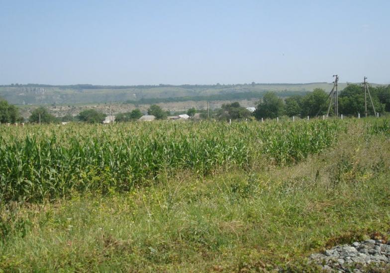 Велика Слобідка з panoramio.com - Великая Слободка