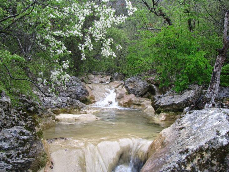 Колхозне з panoramio.com - Колхозное