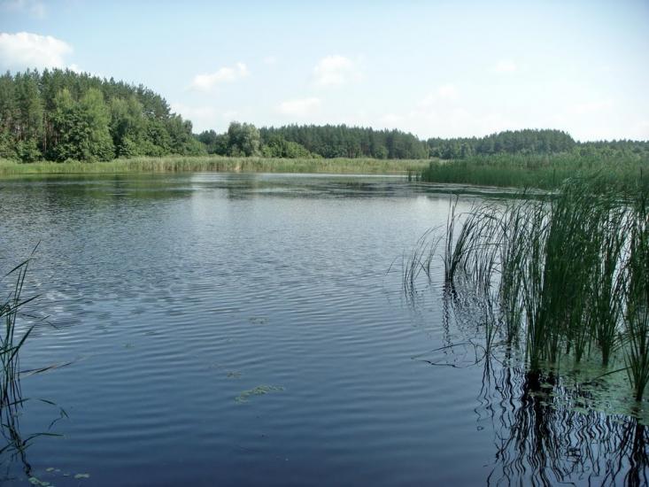 Підлиман з panoramio.com - Pidlyman