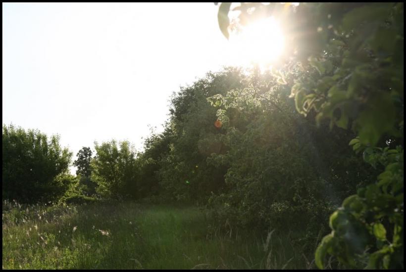 Будище з panoramio.com - Будище