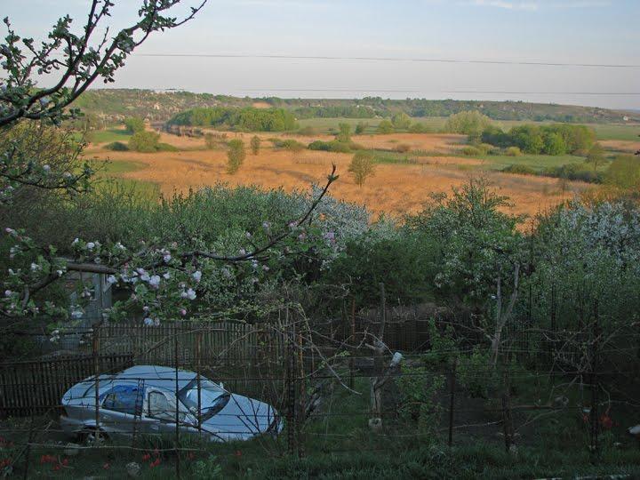 Литвинівка з panoramio.com - Литвиновка