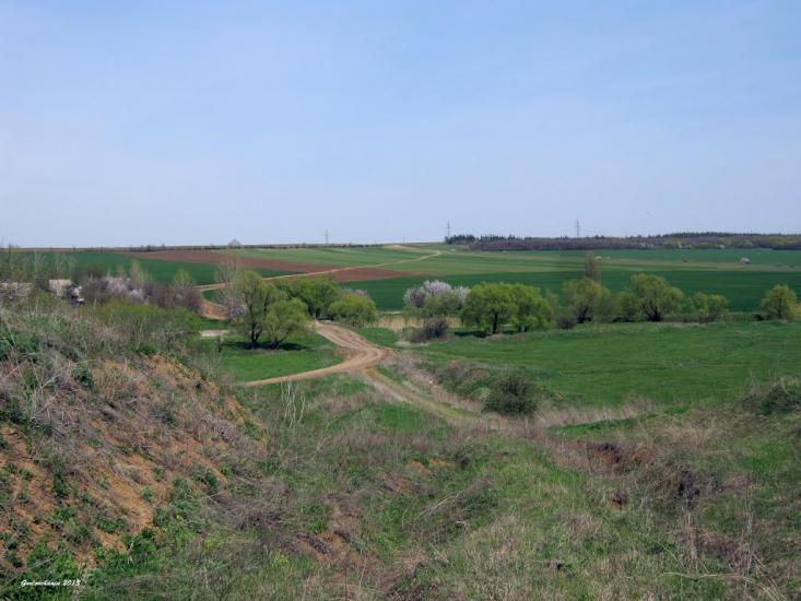 Новгородське з panoramio.com - Новгородське