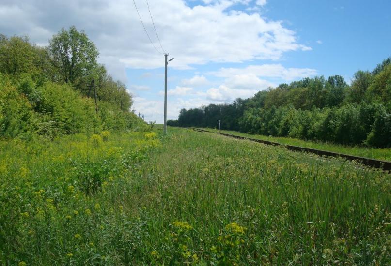 Балакири з panoramio.com - Балакири