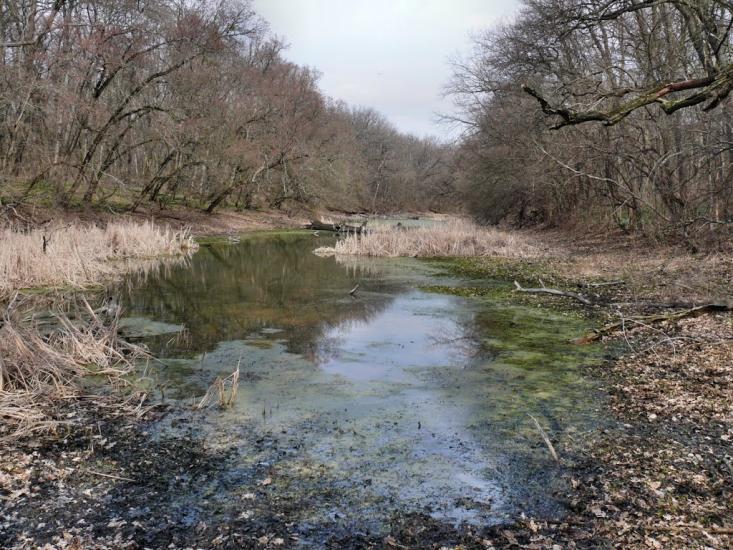 Підлісне з panoramio.com - Pidlisne