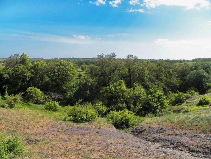 Данилове з panoramio.com - Danylove