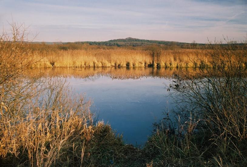 Івано-Франкове з panoramio.com - Ivano-Frankove