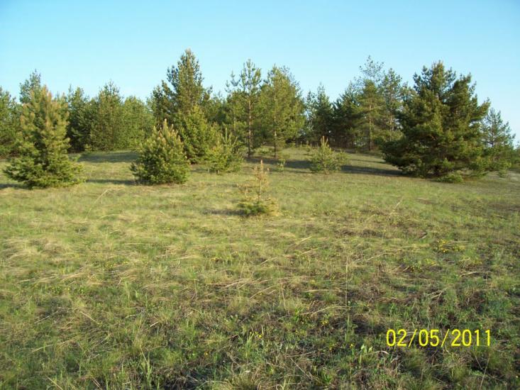Пискунівка з panoramio.com - Пискуновка