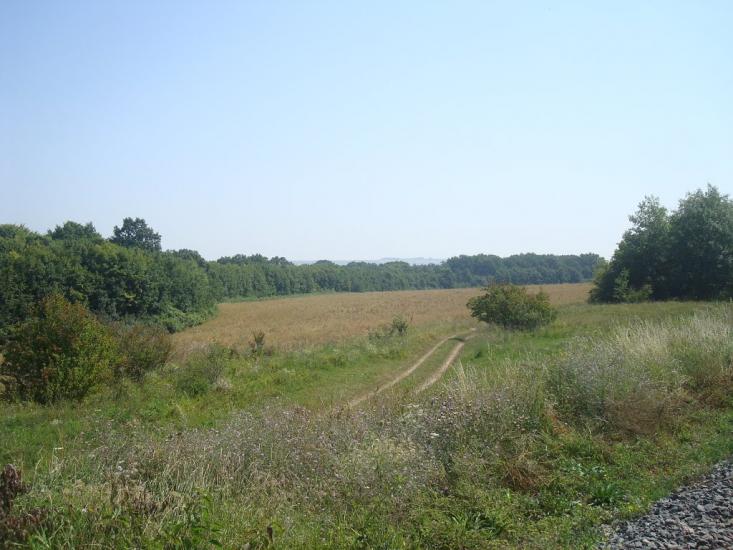 Тарасівка з panoramio.com - Тарасовка