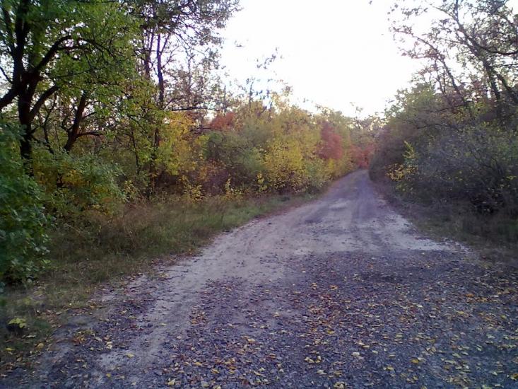 Пискунівка з panoramio.com - Pyskunivka