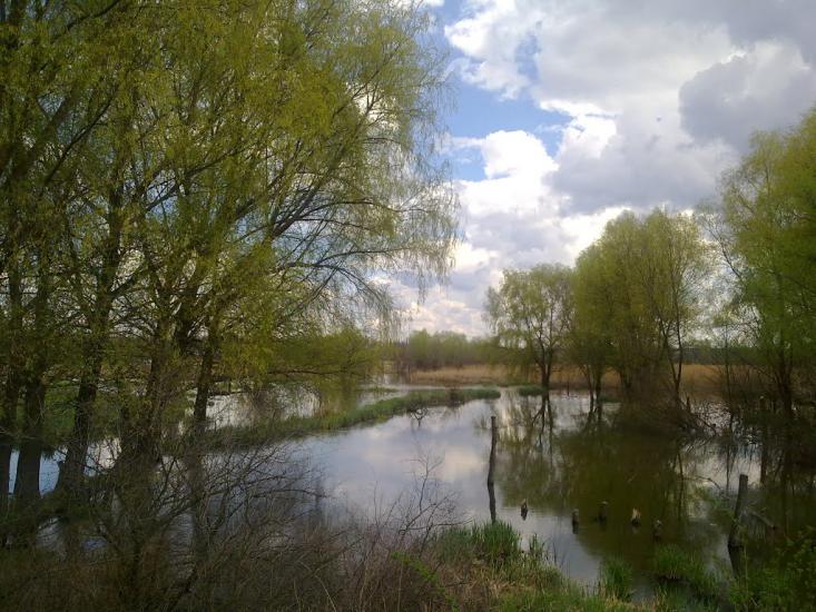 Стебне з panoramio.com - Stebne