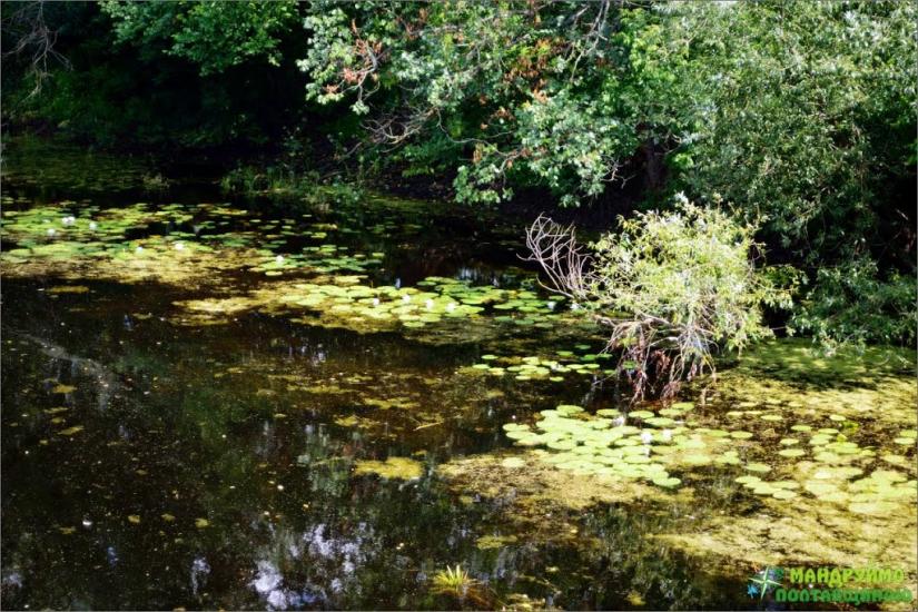Хомутець з panoramio.com - Khomutets