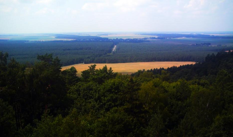 Великі Бережці з panoramio.com - Великі Бережці