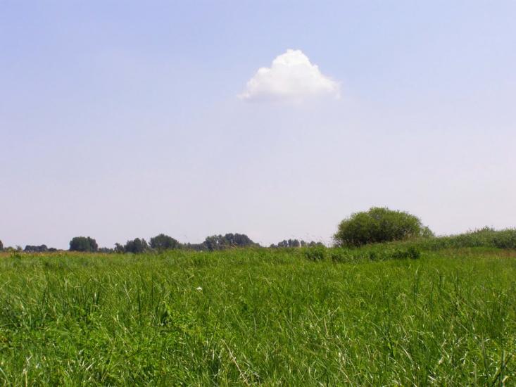 Даничів з panoramio.com - Даничів