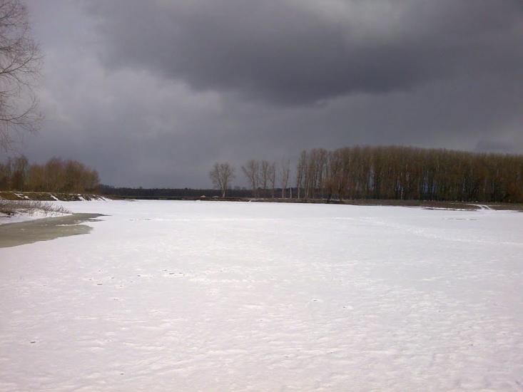 Купчичі з panoramio.com - Купчичі