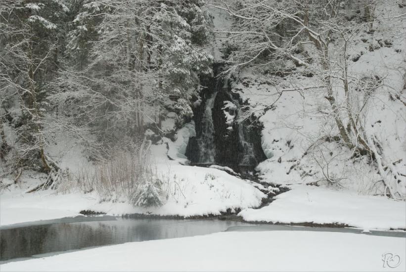 Згари з panoramio.com - Згары