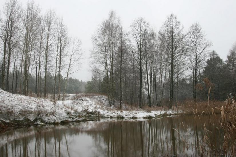Лошакова Гута з panoramio.com - Лошакова Гута