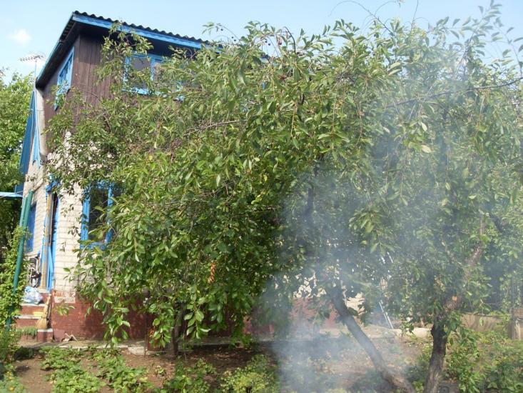 Лутугине з panoramio.com - Lutugino