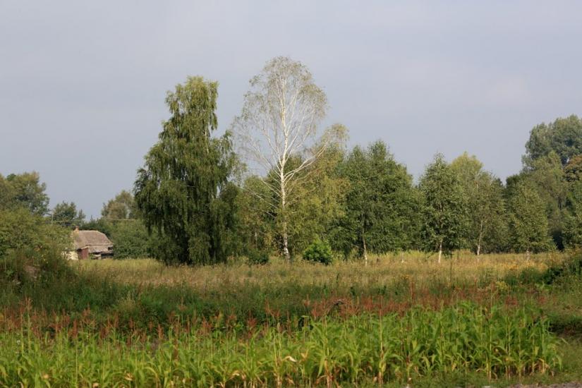 Седлище з panoramio.com - Седлище