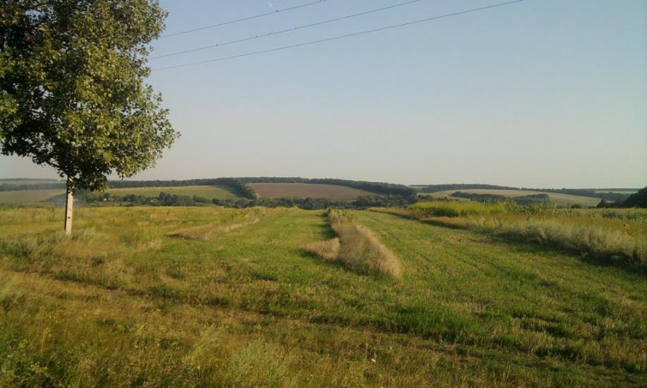 Погибляк з panoramio.com - Погибляк