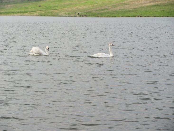 Довжок з panoramio.com - Довжок