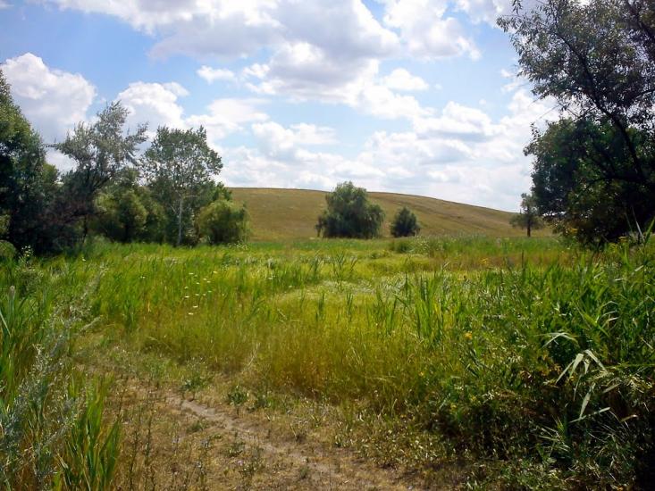 Кіровськ з panoramio.com - Кировск