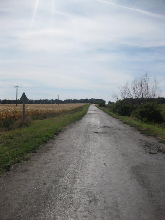 Хрещате з panoramio.com - Хрещатое