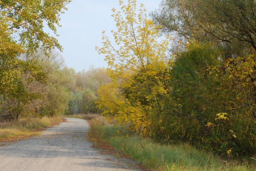 Макошине з panoramio.com - Макошино