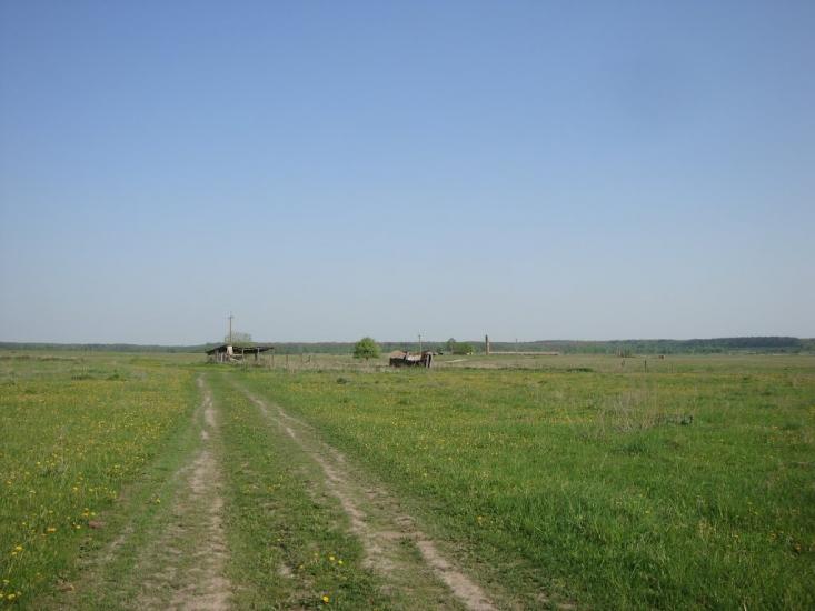 М'ясківка з panoramio.com - М'ясківка