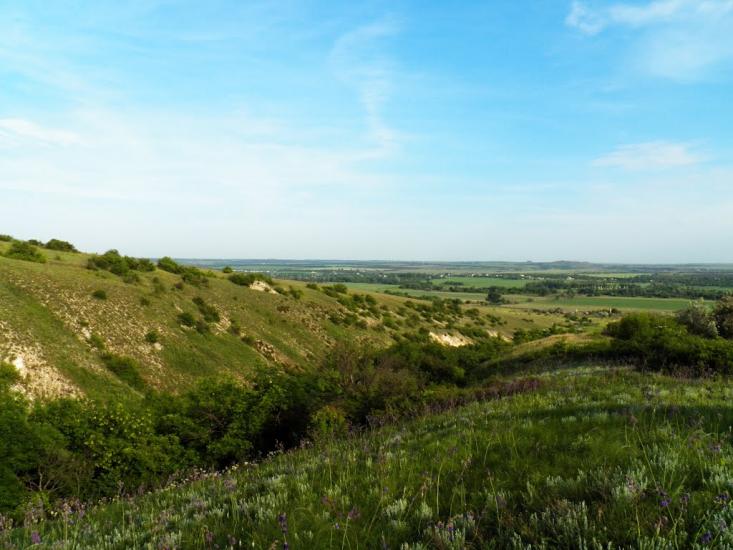 Біле з panoramio.com - Bile