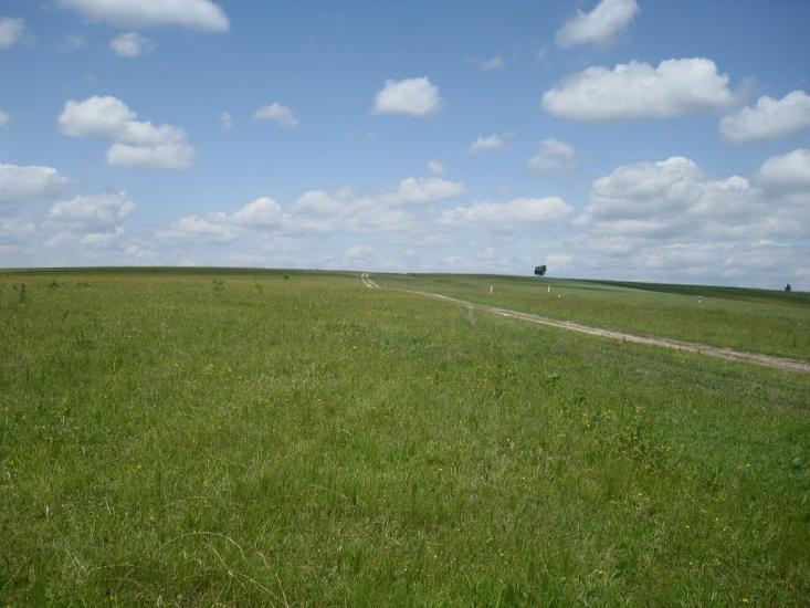 Стуфчинці з panoramio.com - Стуфчинцы