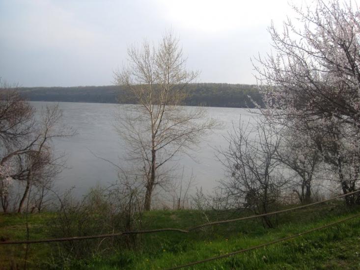 Гороховатка з panoramio.com - Гороховатка