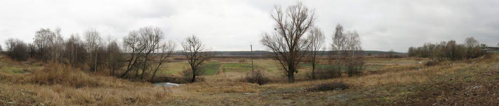 Демидів з panoramio.com - Демидов