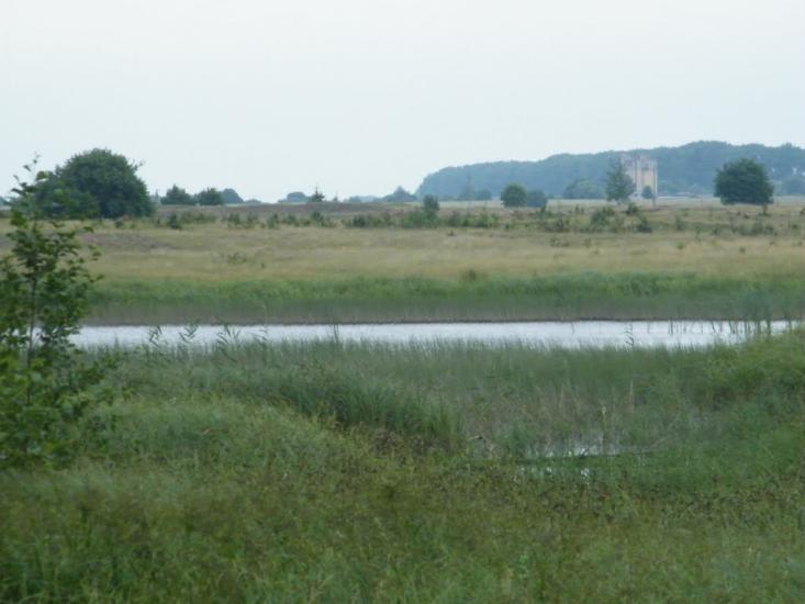 Козлин з panoramio.com - Козлин