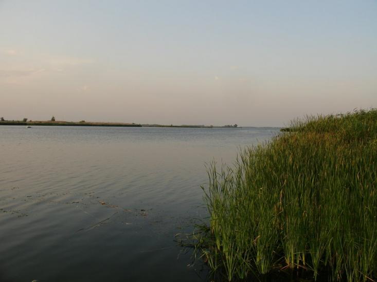 Кардашинка з panoramio.com - Кардашинка
