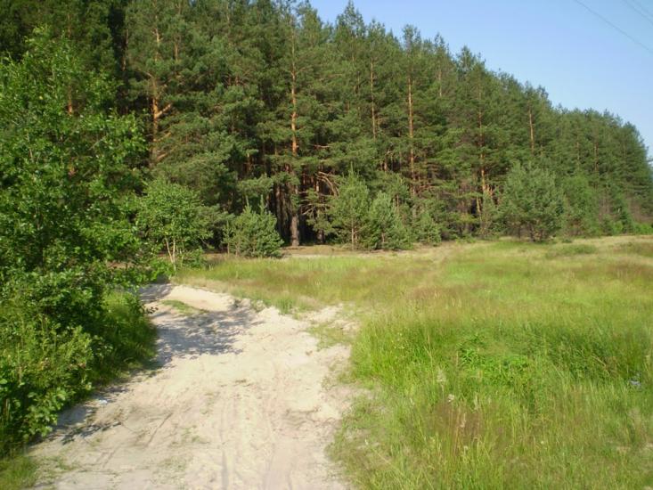 Пилиповичі з panoramio.com - Пилиповичи