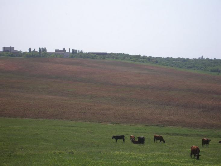 Зайцеве з panoramio.com - Зайцеве