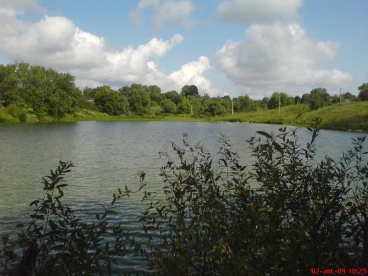 Баранівка з panoramio.com - Барановка