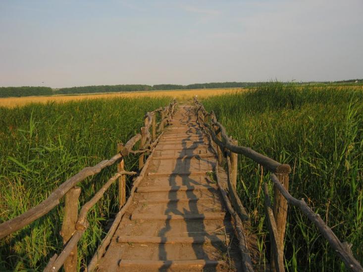 Валове з panoramio.com - Sofiyivka