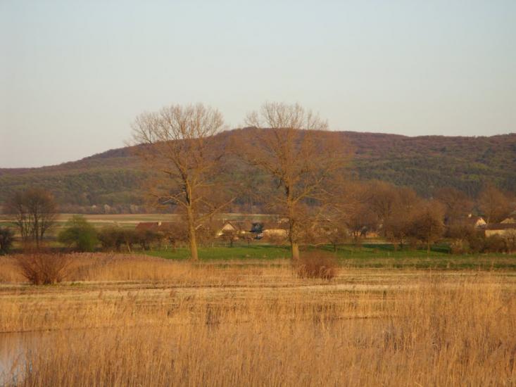 Кривичі з panoramio.com - Кривичі