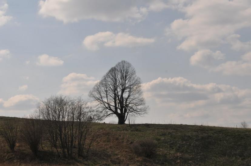 Шандровець з panoramio.com - Шандровец