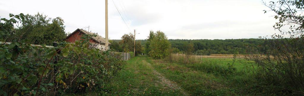 Рибне з panoramio.com - Рибне