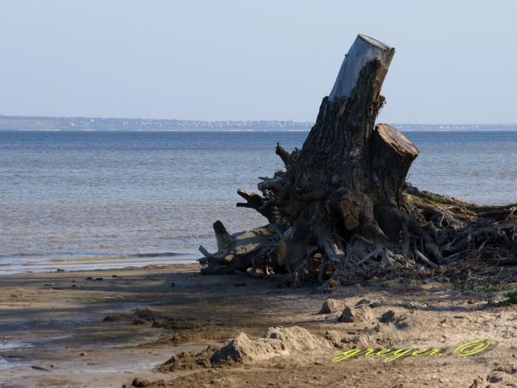 Малокаховка з panoramio.com - Малокаховка
